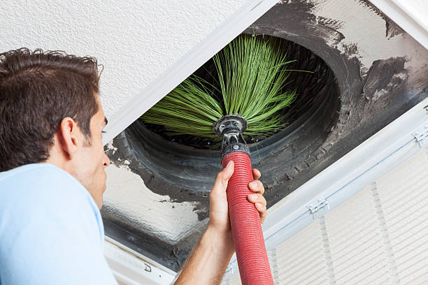 Best Affordable HVAC Duct Cleaning  in Schler Park, IL